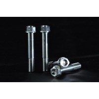 AELLA Titanium Caliper Bolts for Ducati (M10x55 - Pitch 1.25) AELLA Titanium Caliper Bolts for Ducati (M10x55 - Pitch 1.25)